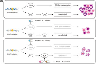 graphic file with name CAS-115-197-g006.jpg