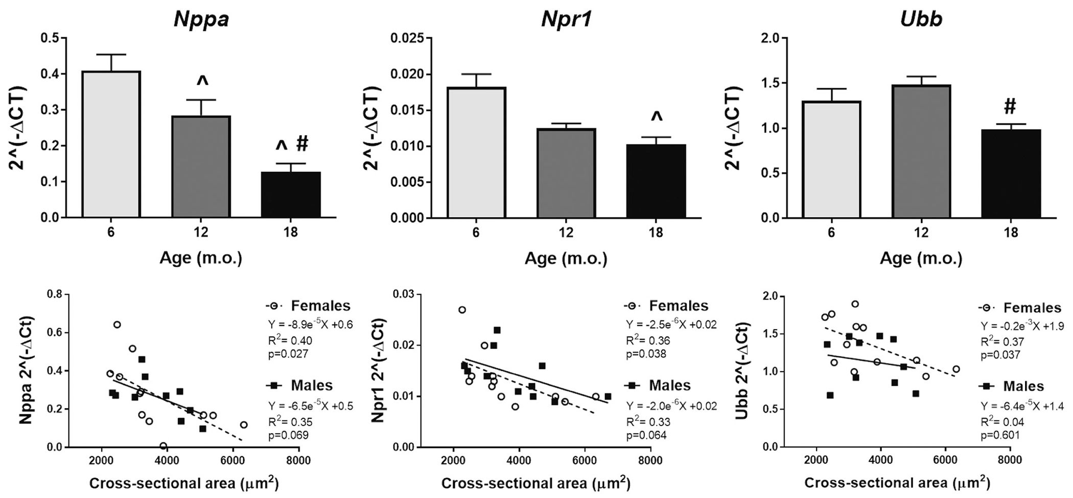 Fig. 9.