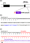 Figure 1: