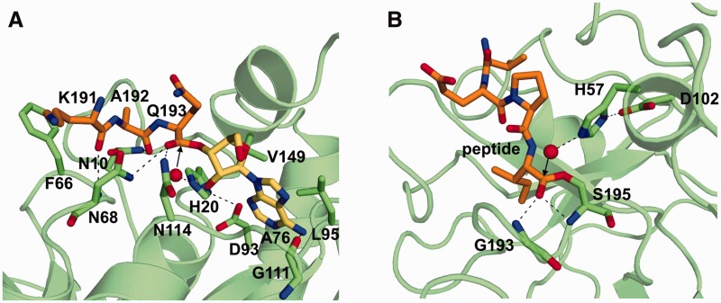 Figure 5.