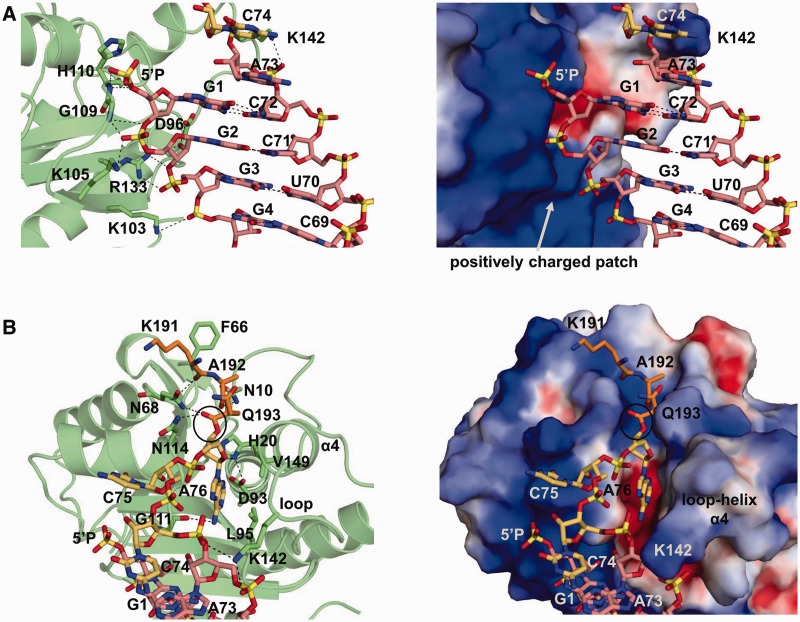 Figure 4.