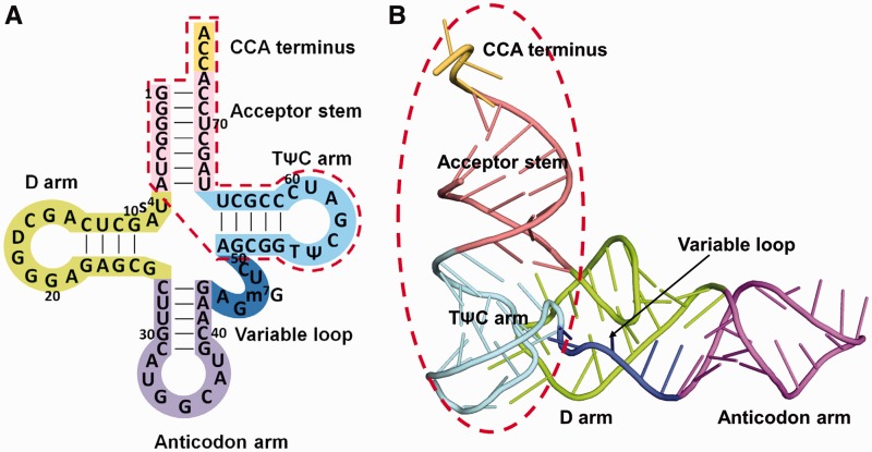 Figure 1.