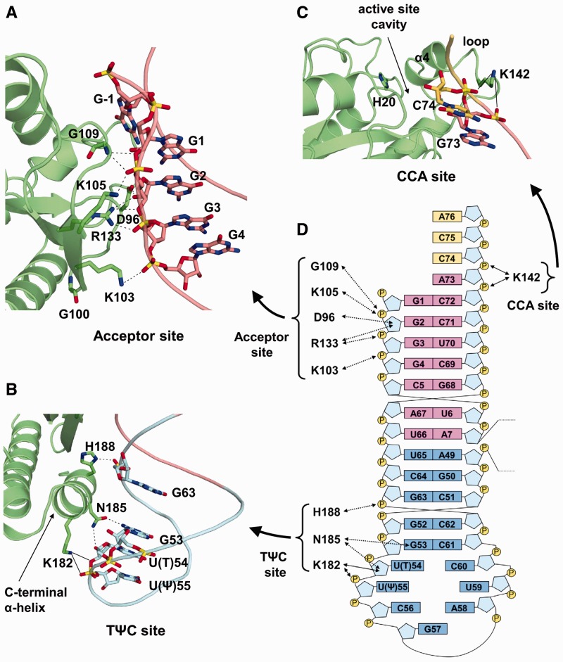 Figure 3.