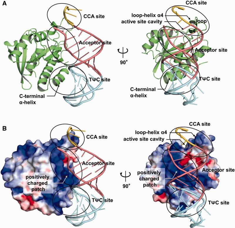 Figure 2.