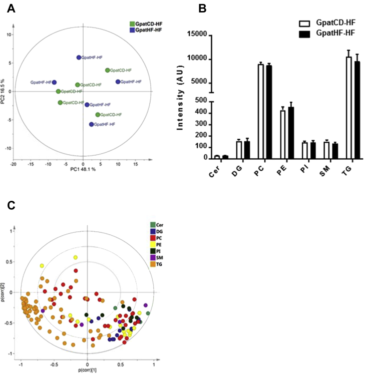 Figure 4