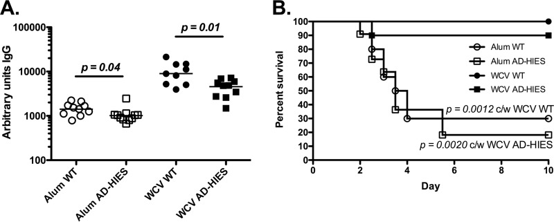 FIG 3