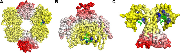 FIGURE 2