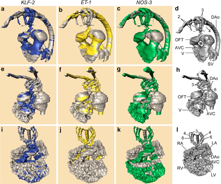 Fig. 1