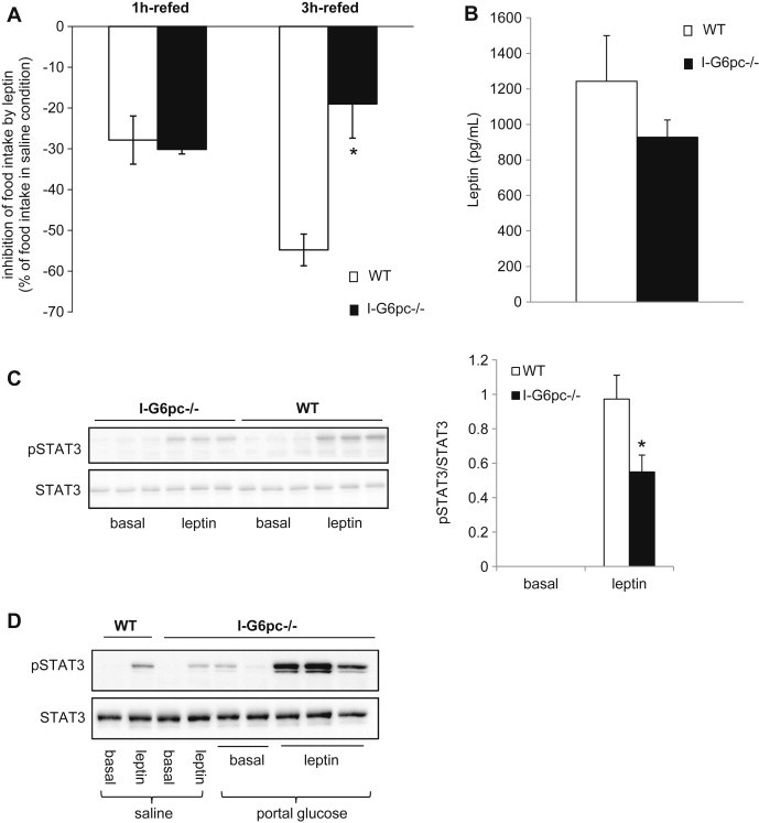 Figure 5