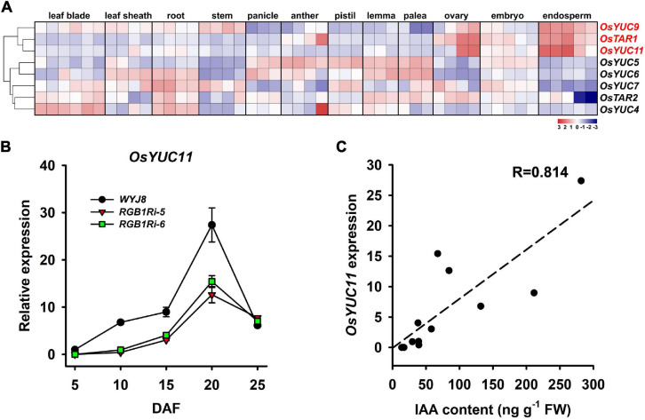 FIGURE 4