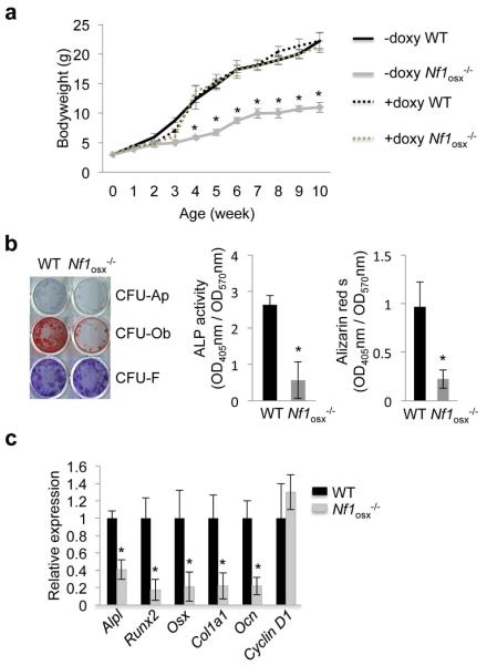 Figure1