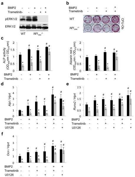 Figure3