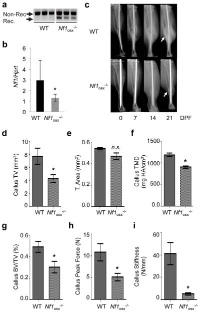 Figure4