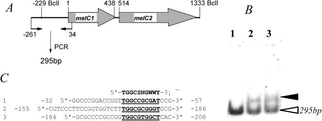 FIG. 5.