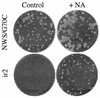 FIG. 4