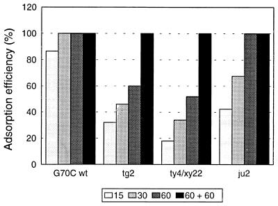 FIG. 6