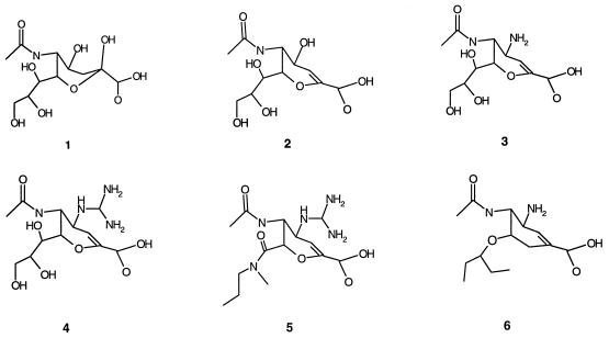 FIG. 1