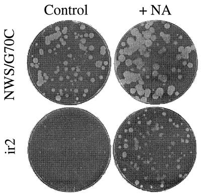 FIG. 4