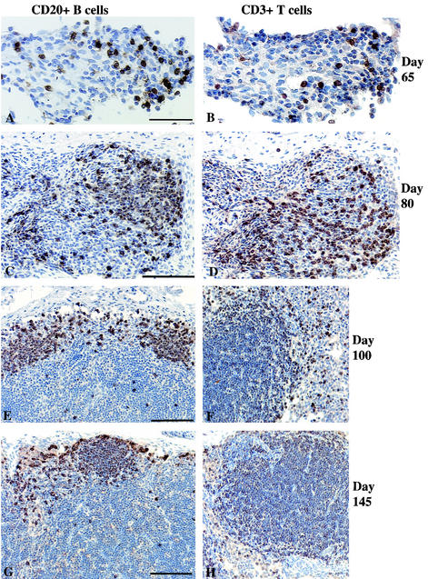 FIG.2.