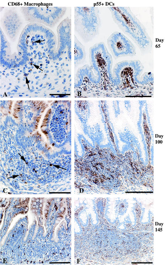 FIG. 7.