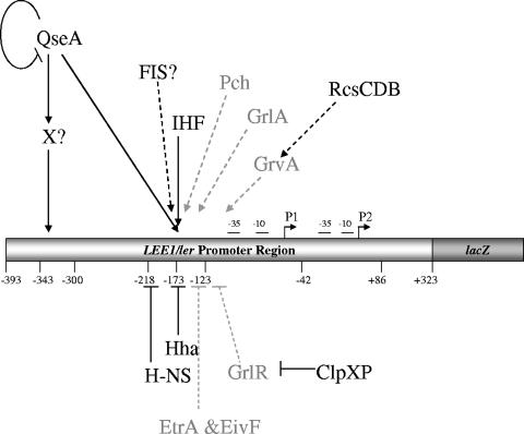 FIG. 6.