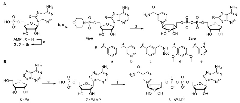 Scheme 1