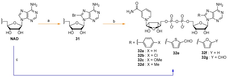 Scheme 2