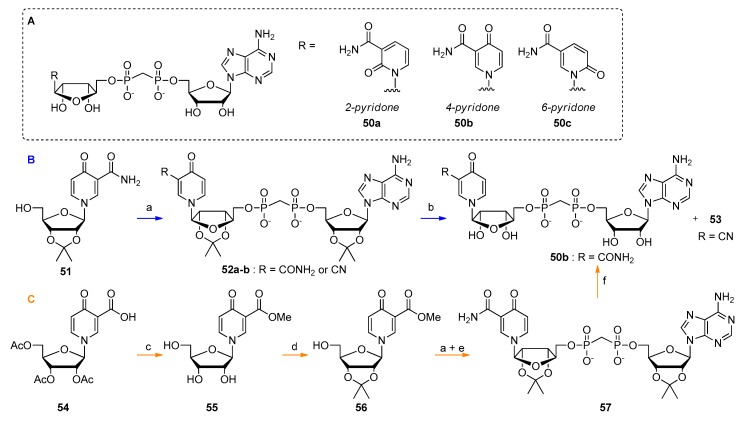 Scheme 5