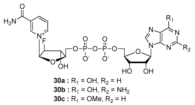 Figure 8