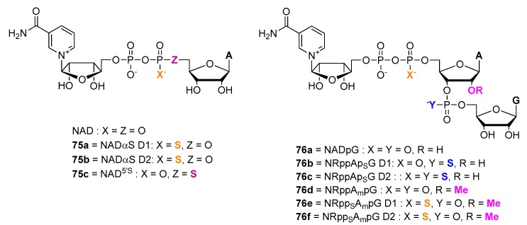 Figure 20