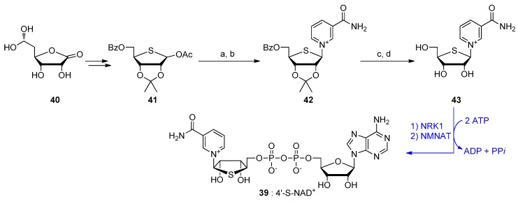 Scheme 4