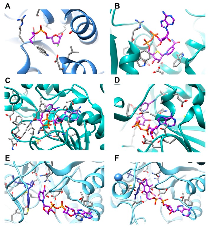 Figure 7