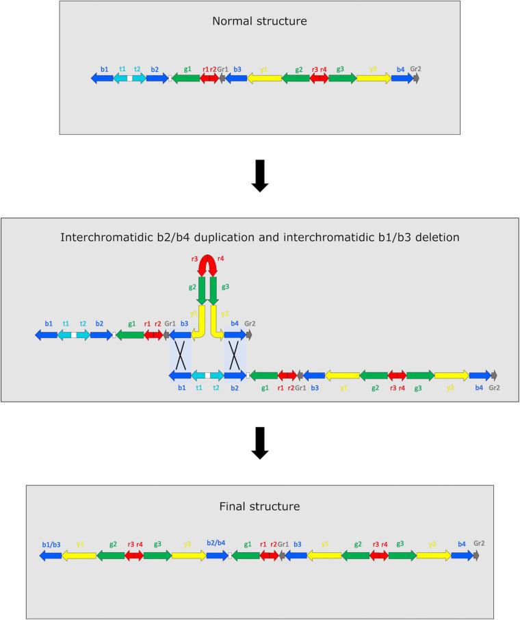 FIGURE 2