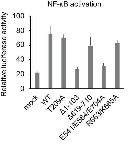 Figure 2—figure supplement 5.