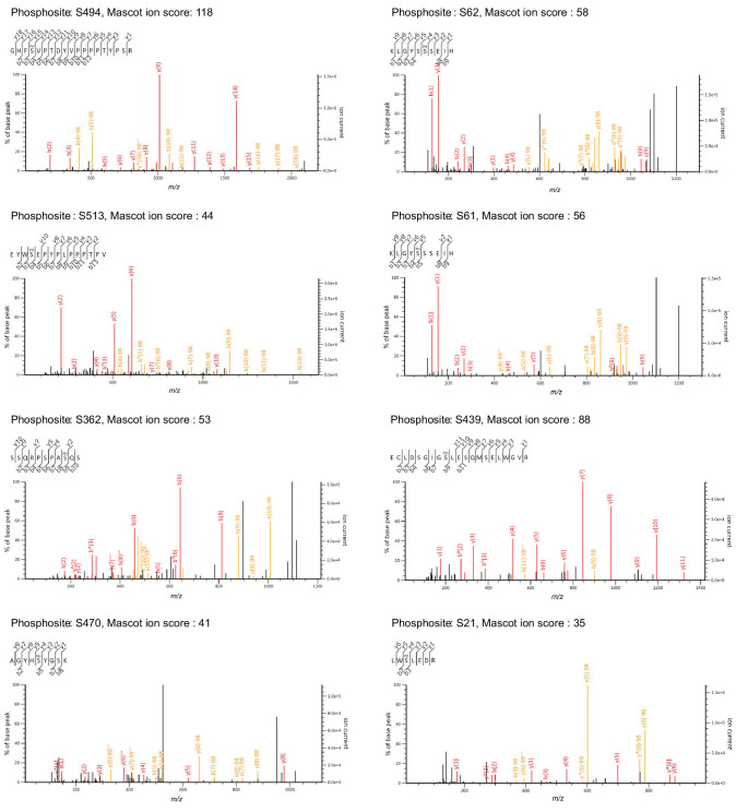 Figure 2—figure supplement 2.