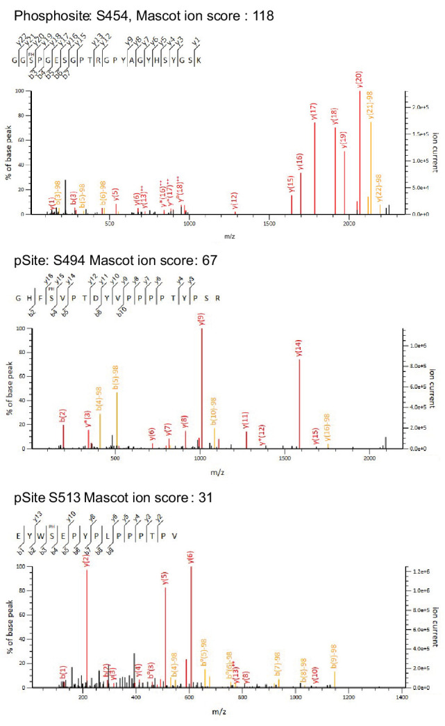 Figure 2—figure supplement 7.