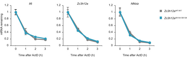 Figure 4—figure supplement 4.