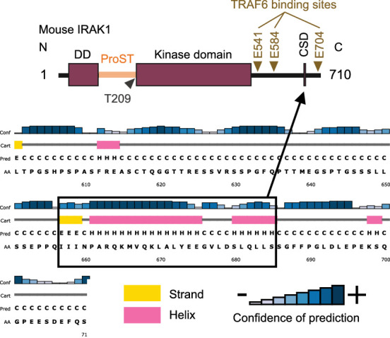 Figure 2—figure supplement 4.