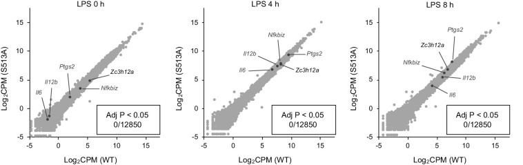 Figure 4—figure supplement 5.