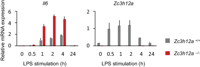 Figure 4—figure supplement 3.