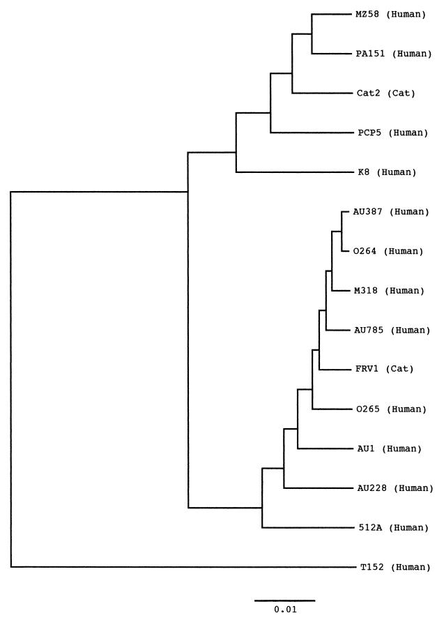 FIG. 3.