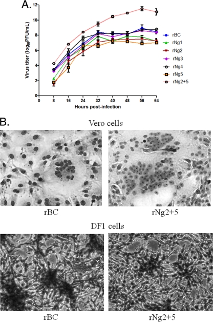 Fig 4