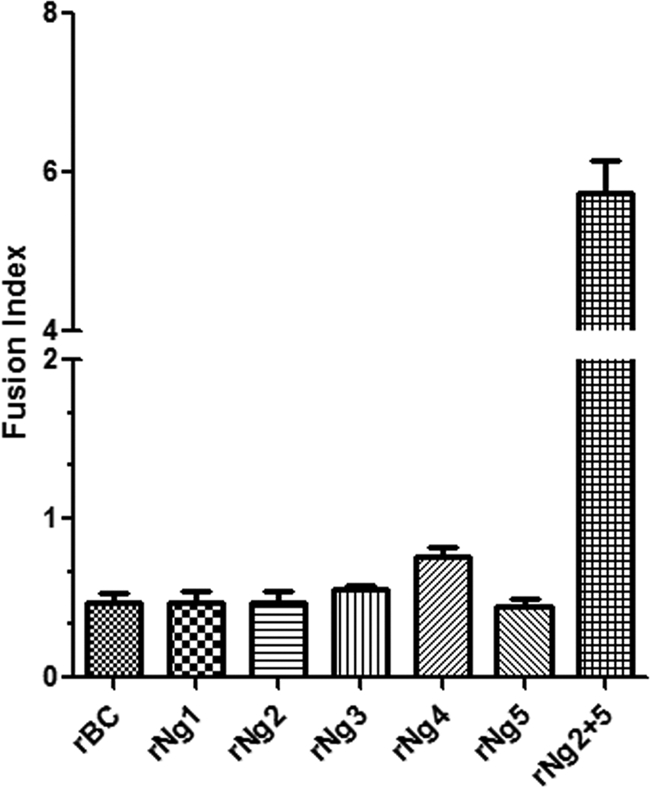 Fig 3