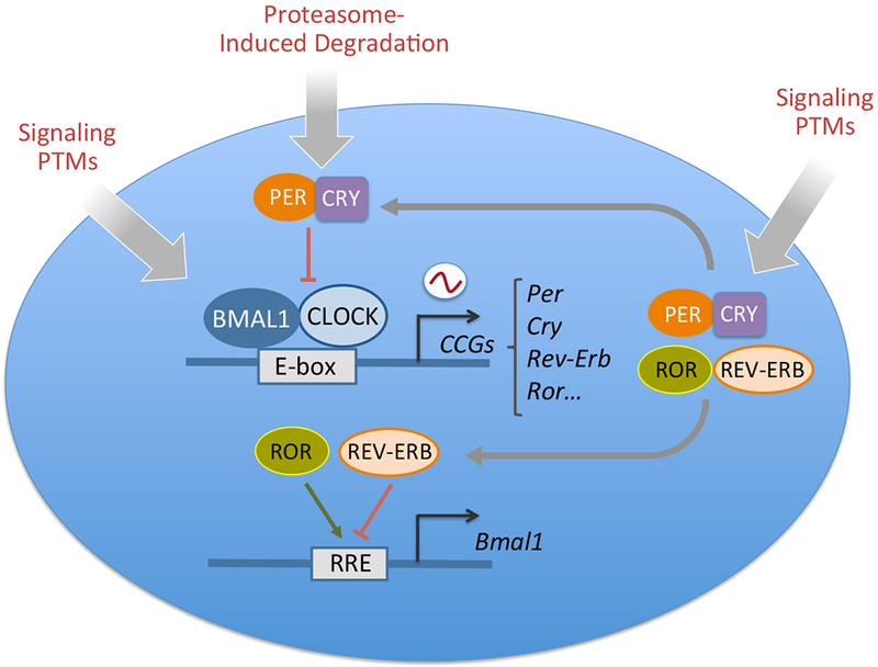 Figure1: