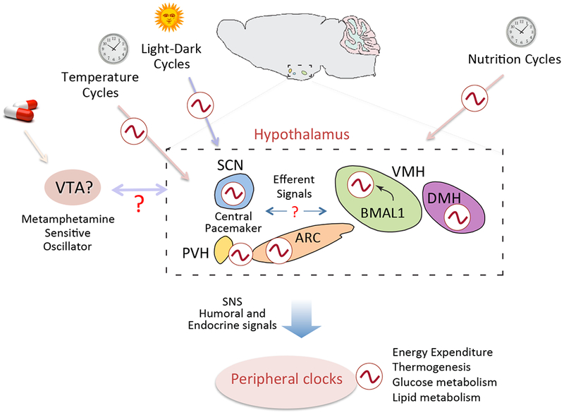 Figure 3: