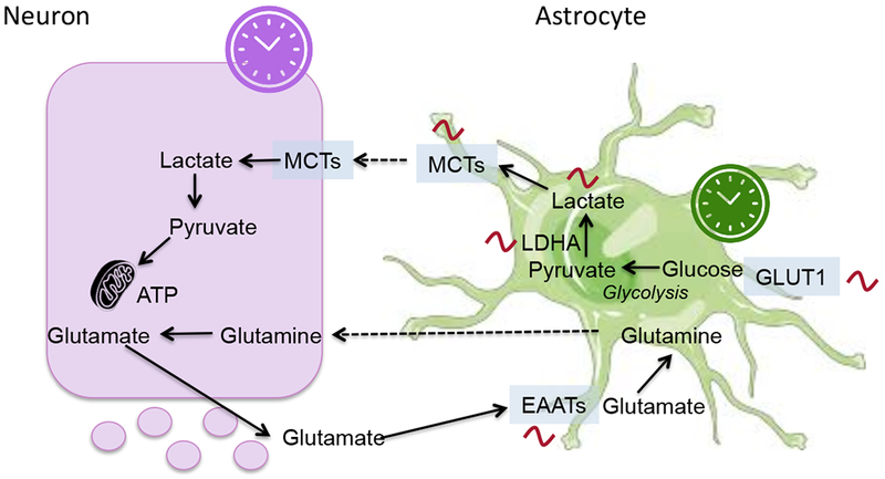 Figure 2: