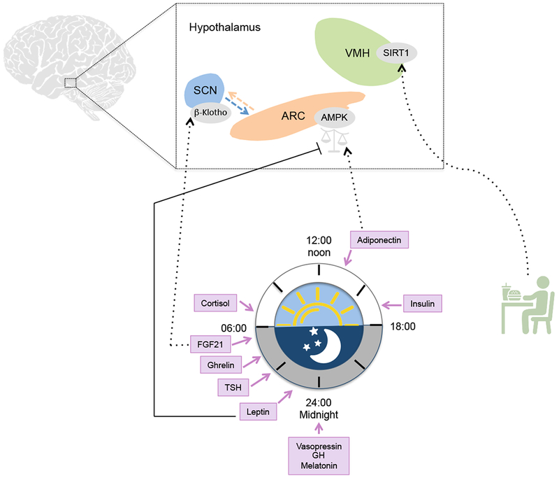 Figure 4: