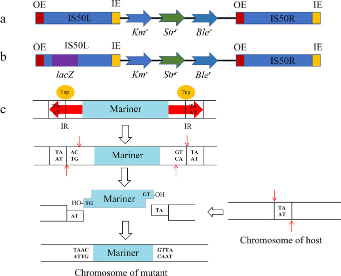 Fig 4