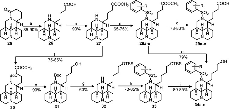 Scheme 3