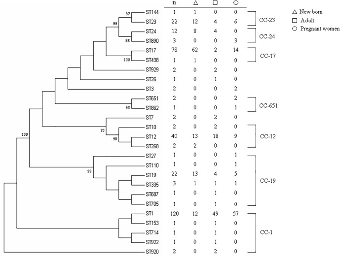 FIGURE 1